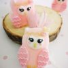 owl-soap-1boboniera-sapouni-koukouvagia-roz